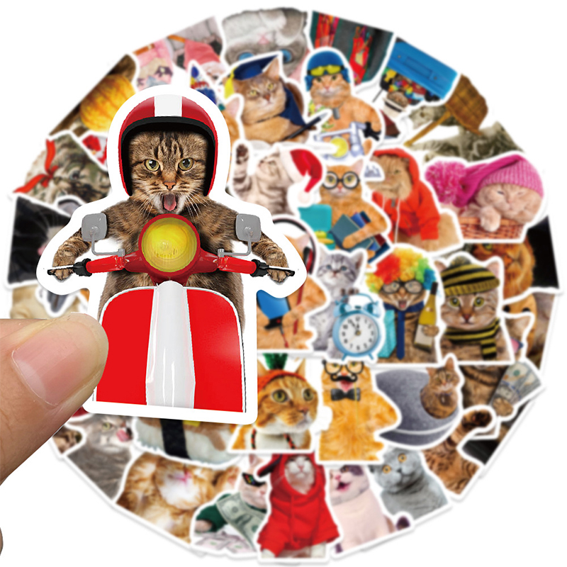 Phone Cases Funny - 50PCS Cute Cat Meme Stickers Funny