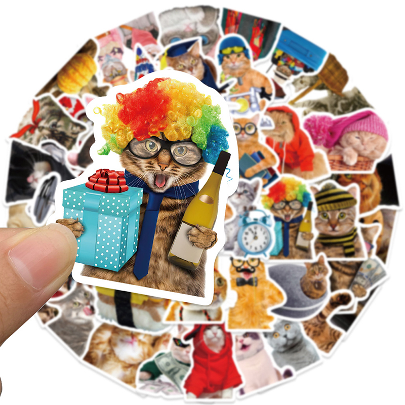 50PCS Cute Cat Meme Stickers F - Phone Cases Funny ulasan dan harga